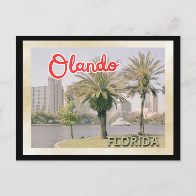 Orlando Palm Tree Vintage Travel Postcard (Front)