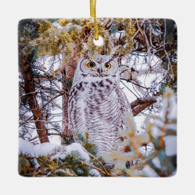 Ornament (Front)
