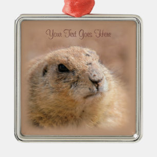 Ornament: Black-tailed Prairie Dog (Premium Sqr) Metal Ornament