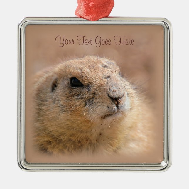 Ornament: Black-tailed Prairie Dog (Premium Sqr) Metal Ornament (Front)