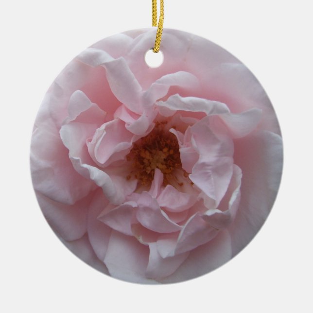 Ornament - Blush Pink Rose (Front)