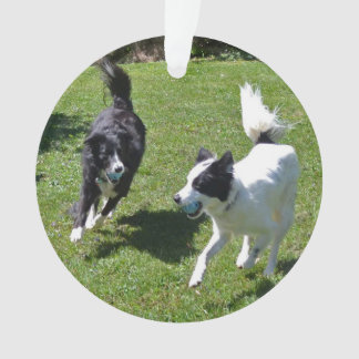 ornament - Border Collies Playing Ball