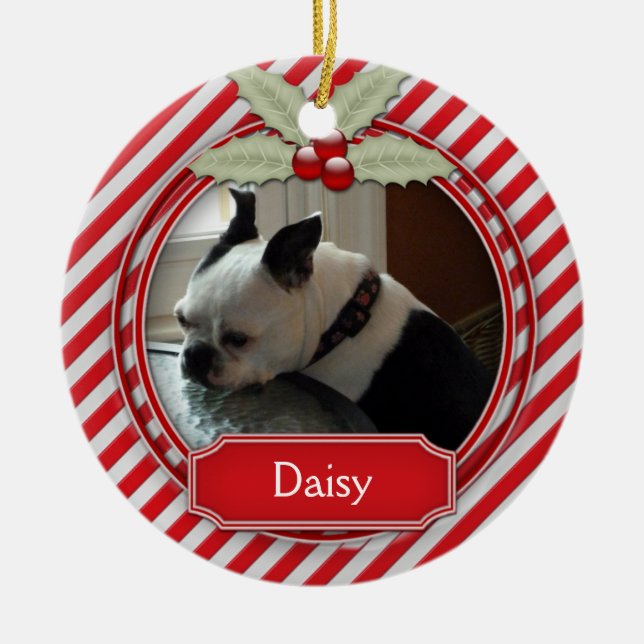 Ornament Candy Cane Stripe Holly For Pets (Front)