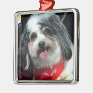 Ornament, Christmas, Dog K-Cee Red Metal Ornament