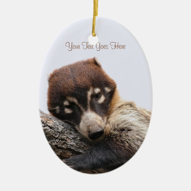 Ornament: Coatimundi #4 (Oval) Ceramic Tree Decoration (Front)