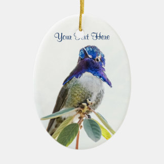 Ornament: Costa's Hummingbird (Oval) Ceramic Ornament