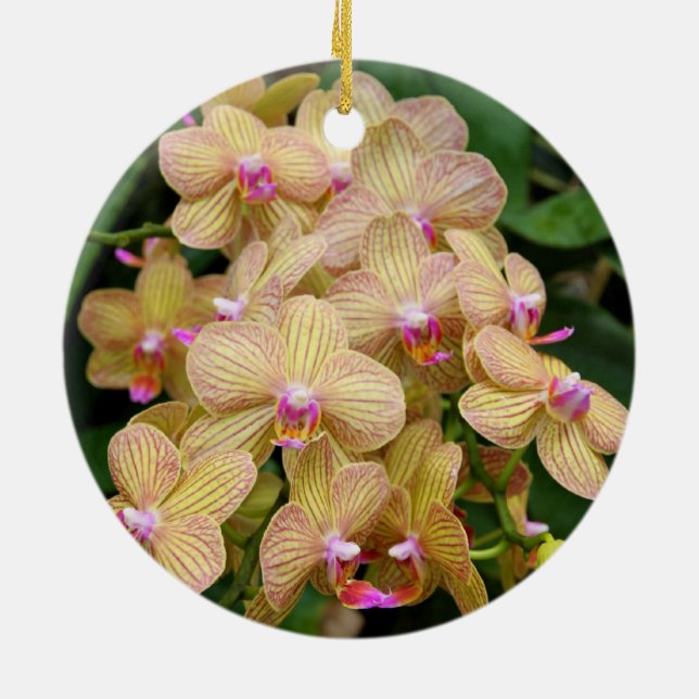 Ornament - Moth Orchid (Back)