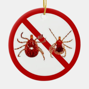 Ornament or Door Hanger, No Lyme!