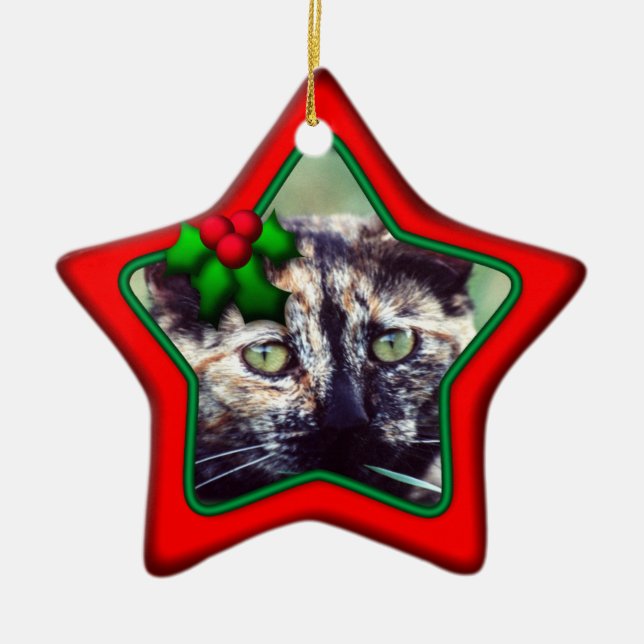 Ornament, Star, Double Sided Photo Ceramic Ornament (Front)