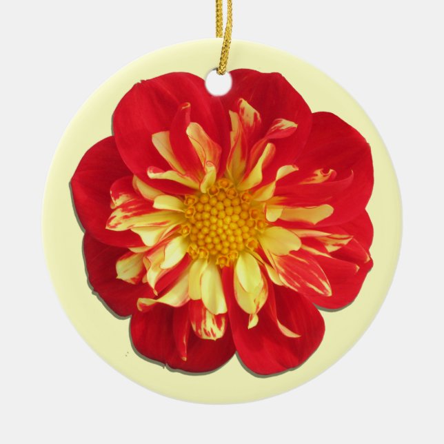 Ornament - StarSister Dahlia (Front)