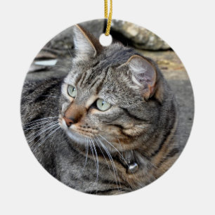Ornament: Tabby cat Ceramic Ornament