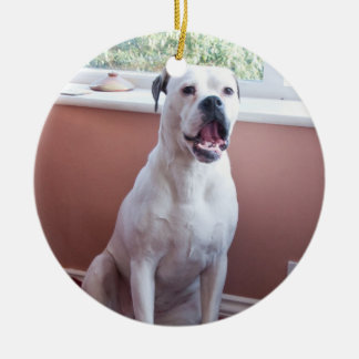 Ornament: White Boxer Dog Ceramic Ornament