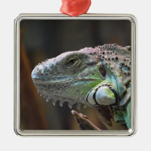 Ornament with head of colourful Iguana lizard