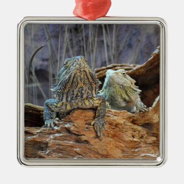 Ornament with two curious lizards (Front)
