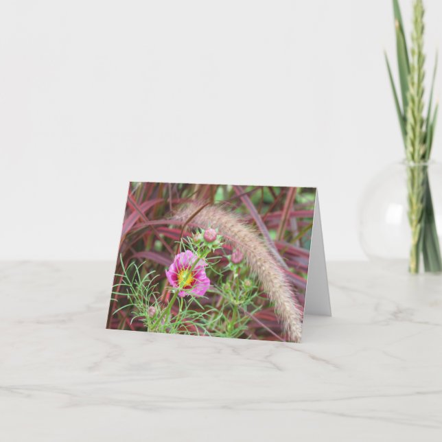 Ornamental Fall Grass and Pink Cosmos Card (Front)
