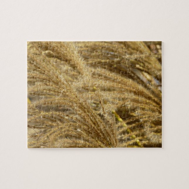 Ornamental Grasses in Fall Jigsaw Puzzle (Horizontal)