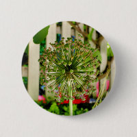 Ornamental Onion Badge