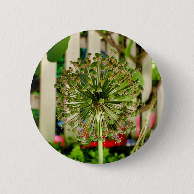 Ornamental Onion Badge (Front)