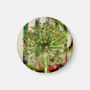 Ornamental Onion Magnet