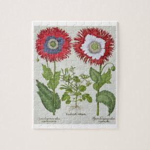 Ornamental Poppies, from the 'Hortus Eystettensis' Jigsaw Puzzle