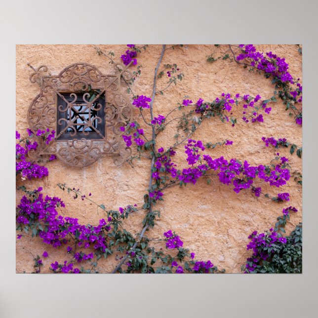 Ornamental window with bougainvillea poster (Front)