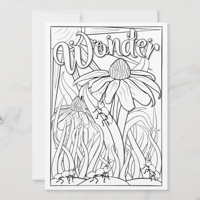 OrnaMENTALs Wonder Ants and Flowers Colour Your Ow (Front)