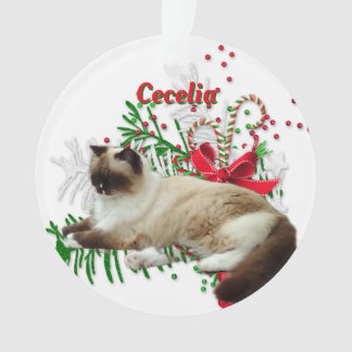 Ornaments Christmas Custom Pet Acrylic Round