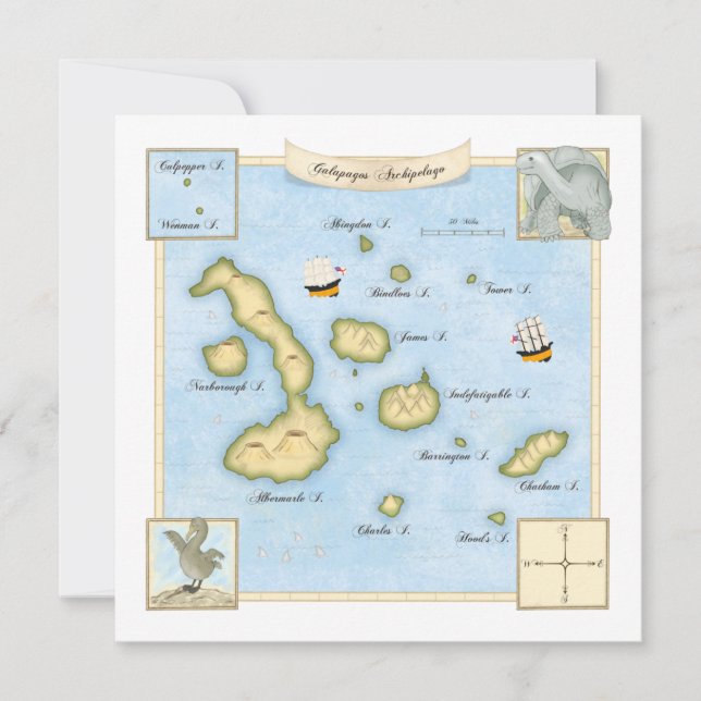 Ornate Galapagos Archipelago Map with Ships Card (Front)