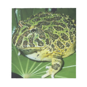 Ornate Horned Frog, (Ceratophrys ornata), Notepad