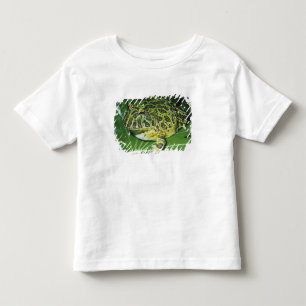 Ornate Horned Frog, (Ceratophrys ornata), Toddler T-Shirt