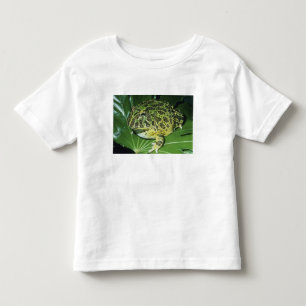 Ornate Horned Frog, (Ceratophrys ornata), Toddler T-Shirt