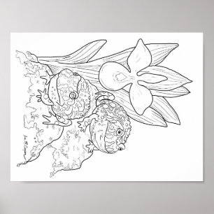 Ornate Horned Frogs colouring page Poster