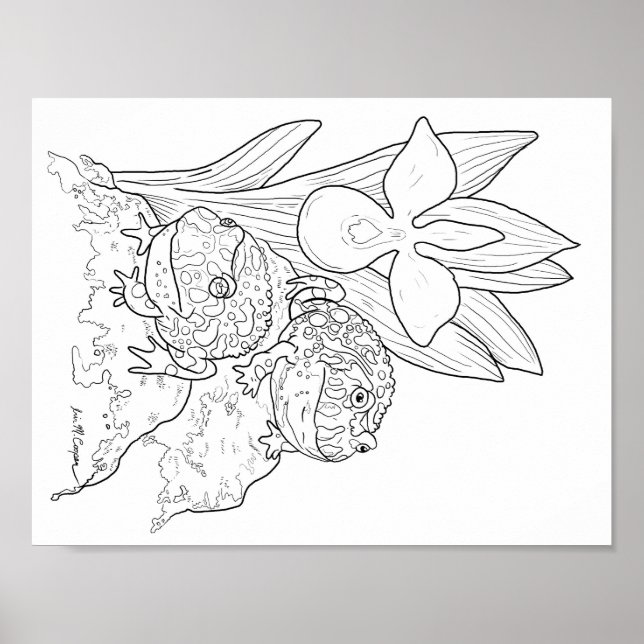 Ornate Horned Frogs colouring page Poster (Front)