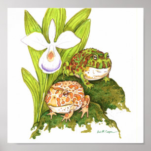 Ornate Horned Frogs Poster