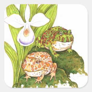 Ornate Horned Frogs Square Sticker