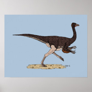 Ornithomimus Poster