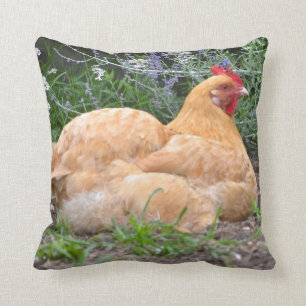 Orpington Chicken Pillow