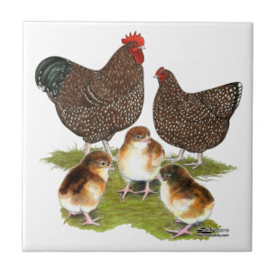 Orpington Jubilee Chicken Family Ceramic Tile