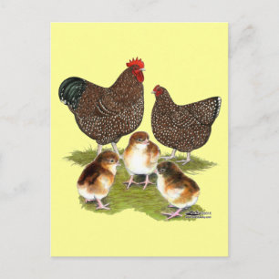 Orpington Jubilee Chicken Family Postcard