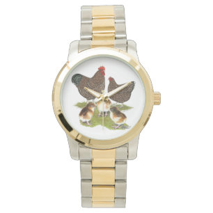 Orpington Jubilee Chicken Family Watch