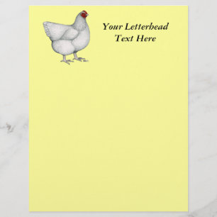 Orpington White Hen