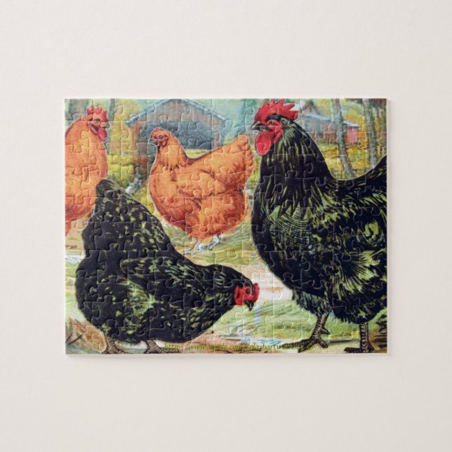 "Orpingtons~Chicken" Jigsaw Puzzle (Horizontal)