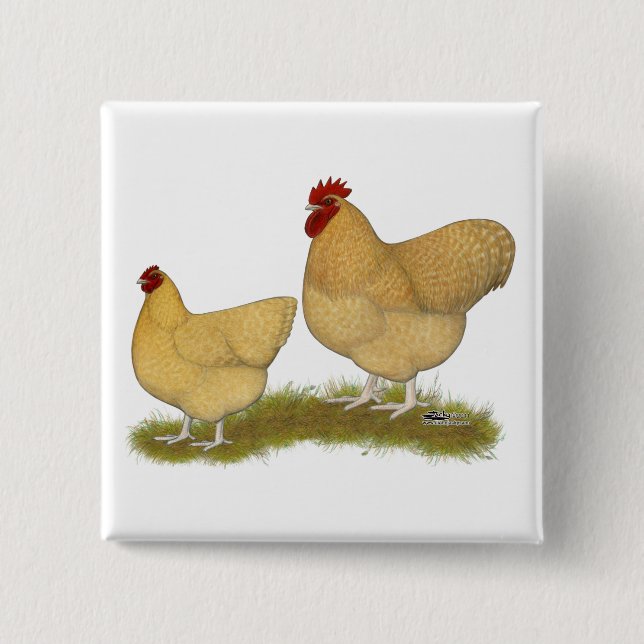 Orpingtons Lemon Cuckoo 15 Cm Square Badge (Front)