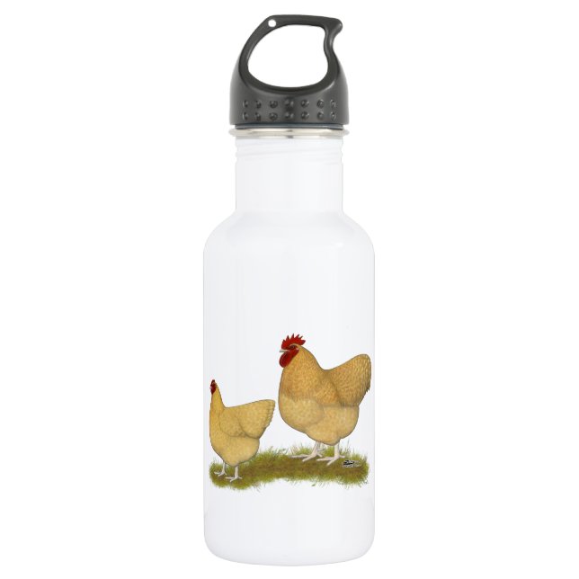 Orpingtons Lemon Cuckoo 532 Ml Water Bottle (Front)