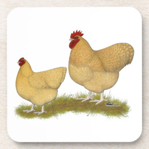 Orpingtons Lemon Cuckoo Coaster
