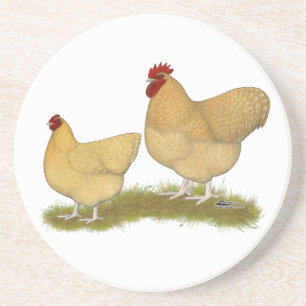 Orpingtons Lemon Cuckoo Coaster