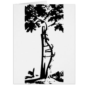 Orthopaedic Crooked Tree