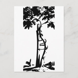 Orthopaedic Crooked Tree Postcard