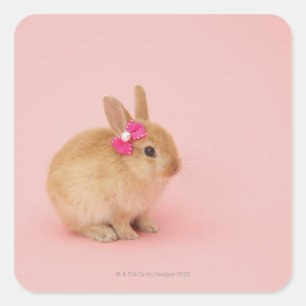 Oryctolagus cuniculus 2 square sticker
