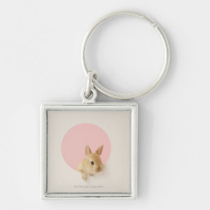 Oryctolagus cuniculus 3 key ring